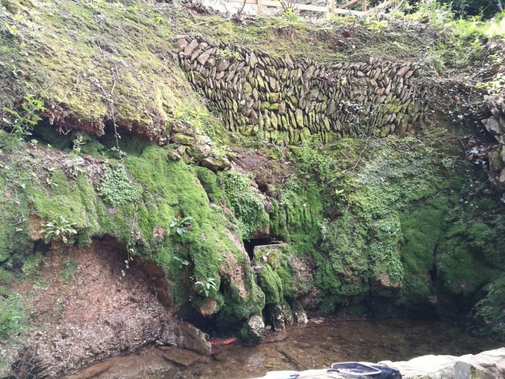 Villa The Well House Ilfracombe Exterior foto